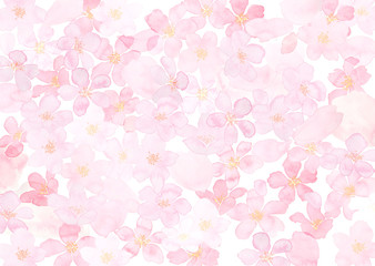 桜いっぱい　背景