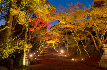 紅葉　滋賀県　日吉大社