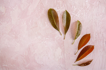 Red leaves on textured pink background - top view with copy space