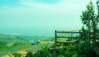 Vegetable plantations on the high mountains