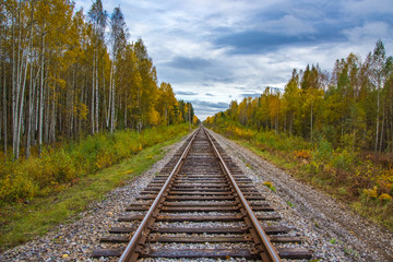 Fototapeta premium Railway in the autumn forest. Rainy autumn weather. Overcast sky.