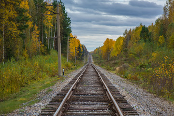 Obraz premium Railway in the autumn forest. Rainy autumn weather. Overcast sky.