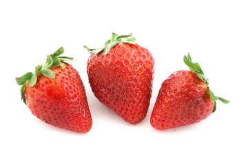 tree red strawberry on white background