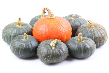 pumpkin isolated on white background