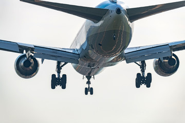 Fototapeta na wymiar 着陸する旅客機