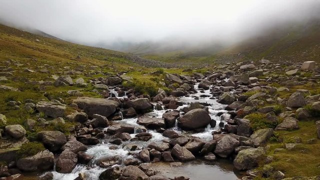 Clean stream flowing of green Ayder Plateau in Rize, Turkey