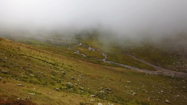 Clean stream flowing of green Ayder Plateau in Rize, Turkey