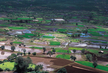 Paddyfields. Monsoon view from Bhaja (Buddhist) Caves, Malavli, Maharashtra, India.