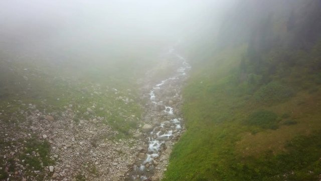 Clean stream flowing of green Ayder Plateau in Rize, Turkey