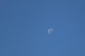 moon in the sky