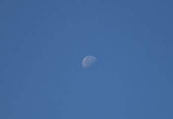 moon in the sky