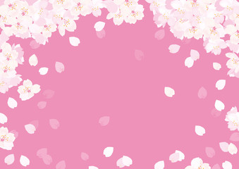 桜　背景イラスト