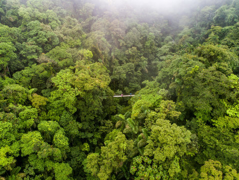 Couple walking over mystico hanging bridges at La Fortuna rainforest aerial drone view in Costa Rica jungle