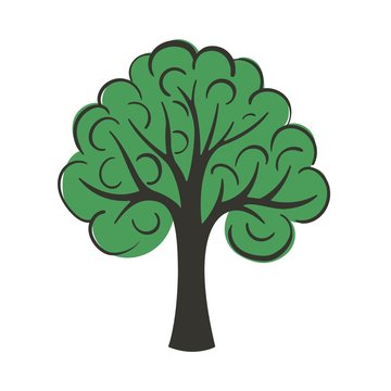 Green tree on white background in the vector