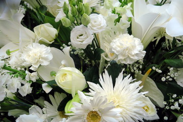Fleurs blanches feuillage vert