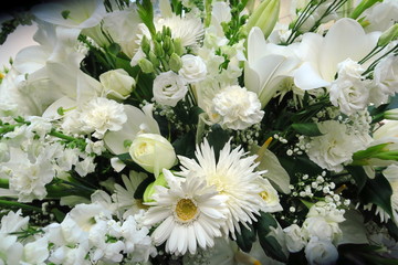 Fleurs blanches feuillage vert