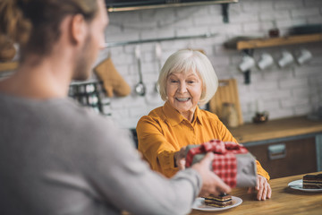 Elegant good-looking grey-haired woman smiling nicely to her son