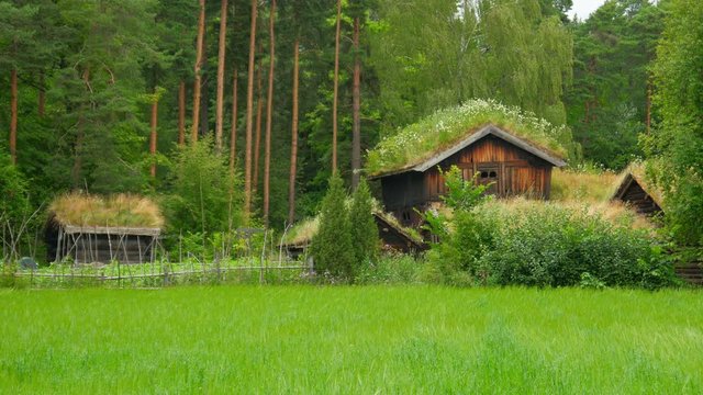 farm with beautiful norwagian village green grass rooftop, norway, 4k