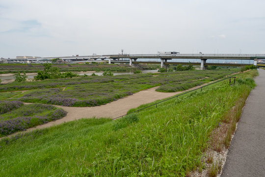 「大和国」の画像 155 件の Stock 写真、ベクターおよびビデオ Adobe Stock