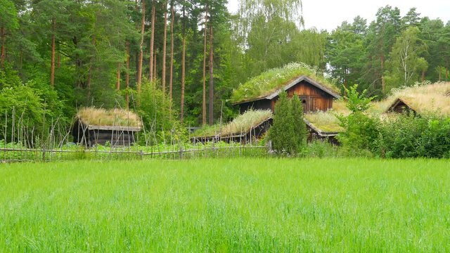 farm with beautiful norwagian village green grass rooftop, norway, 4k