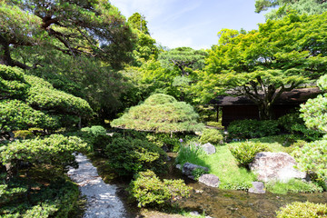 Fototapeta na wymiar Japan, Ohara, moss temple