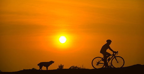 Obraz premium the man was riding a bicycle with a dog barking behind him. On the day the sun is set silhouette