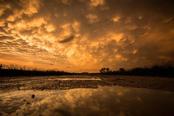 mammatus clouds after a storm at sunset