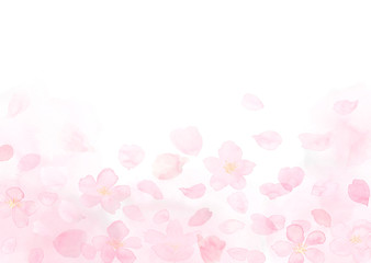 桜と花びら　ふわり　水彩