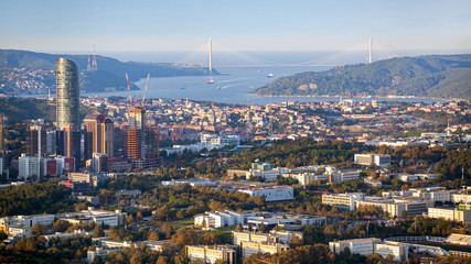 Obraz premium The famous bridge in Istanbul