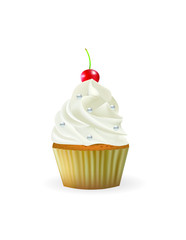 Vanilla cupcake with cherry, vector