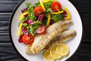 Tasty fried zander fillet with fresh vegetable salad close-up in a plate. Horizontal top view