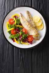 Diet food zander fillet served with fresh salad close-up in a plate. Vertical top view