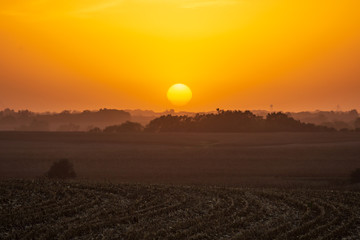 Fototapeta premium sunset over the prairie
