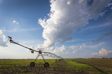 irrigation of field