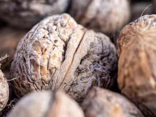 Walnut
