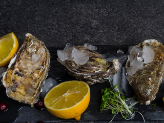 fresh oysters in stone slate with ice, cranberries, lemon slices, delicatessen expensive food, rich in zinc, antioxidants, vitamin