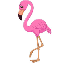 Cartoon flamingo on white background