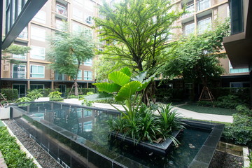 big plant decorative in pool at evergreen garden .