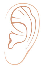 Naklejka premium Left ear of man or woman. Line art Illustration. Isolated on a white background.