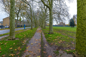 Fototapeta na wymiar Autumn colors in Victoria Park - London