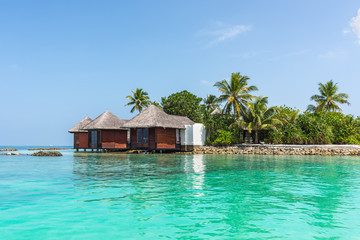 Water bungalows and palms in a tropical paradise island in Maldives. Tourism and travel concept.