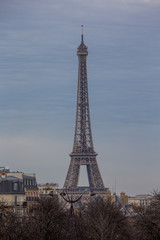 Fototapeta premium LA TOUR EIFFEL