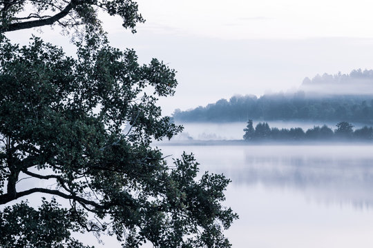 Fog over lake