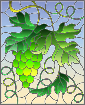 The illustration in stained glass style painting with a bunch of green grapes and leaves on blue background