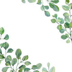 Watercolor hand painted greenery card with eucalyptus branches and leaves isolated on white background. Herbs illustration for banner, template, wedding invitation, interior posters, save the date.
