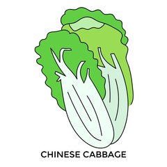 Set of vegetables vector illustration collection. Vegetables vector illustration  mushroom, onion, chili, eggplant, broccoli, kangkung, cucumber, carot,  corn, chinese cabbage