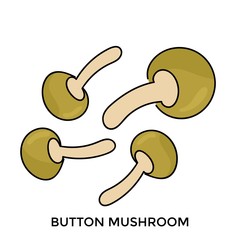 Set of vegetables vector illustration collection. Vegetables vector illustration  mushroom, onion, chili, eggplant, broccoli, kangkung, cucumber, carot,  corn, chinese cabbage