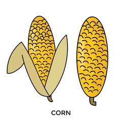 Set of vegetables vector illustration collection. Vegetables vector illustration  mushroom, onion, chili, eggplant, broccoli, kangkung, cucumber, carot,  corn, chinese cabbage