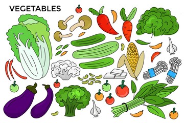 Set of vegetables vector illustration collection