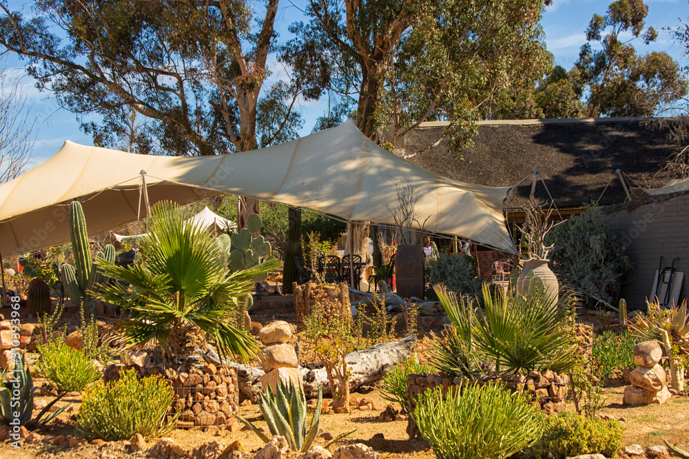 Wall mural Canvas tent in colorful garden in game reserve in South Africa